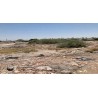 LOTE DE TERRENO URBANO LOTE 31 MANZANA 1, GÓMEZ PALACIOS, DURANGO