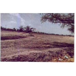 LOTE DE TERRENO RÚSTICO,...