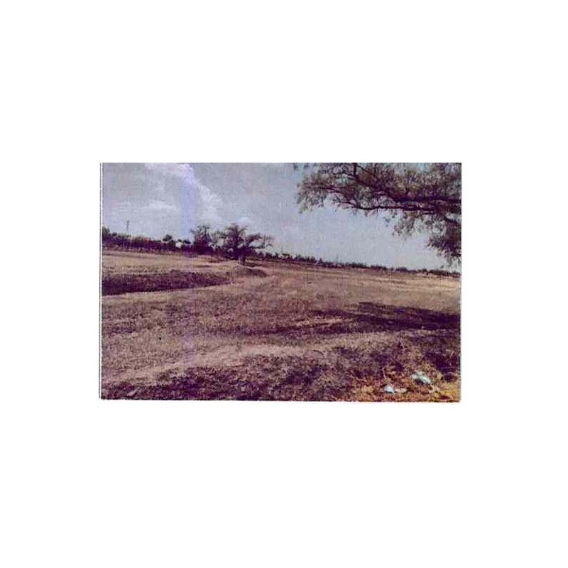 LOTE DE TERRENO RÚSTICO, EJIDO SAN ROQUE, CELAYA, GUANAJUATO