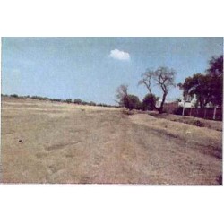 LOTE DE TERRENO RÚSTICO, EJIDO SAN ROQUE, CELAYA, GUANAJUATO