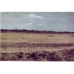 LOTE DE TERRENO RÚSTICO, EJIDO SAN ROQUE, CELAYA, GUANAJUATO