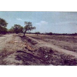 LOTE DE TERRENO RÚSTICO, EJIDO SAN ROQUE, CELAYA, GUANAJUATO