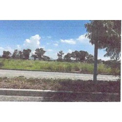 MACROLOTE 5 BLVD. CAMINO REAL, FRACCIONAMIENTO EL REHILETE, VILLAGRAN, GTO.