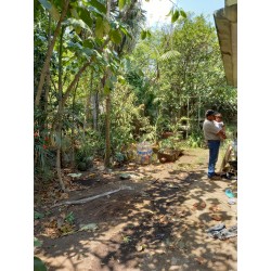 LA GRANJA , CATEMACO, VERACRUZ