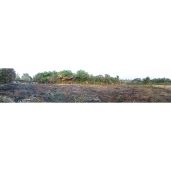 FRACCION DE TERRENO DE LA PARCELA 125 LOTE OJITAL Y POTRERO, OJITAL Y POTRERO, PAPANTLA, VER.