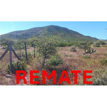 REMATE DE LOTE DE TERRENO, CALLEJÓN DE LOS TECOLOTES PARCELA 172 Z-4, COL. SAN JOSÉ, CIUDAD DEL MAÍZ, SLP