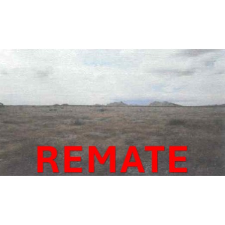 REMATE LOTE DE TERRENO RÚSTICO, JULIMES, CHIHUAHUA