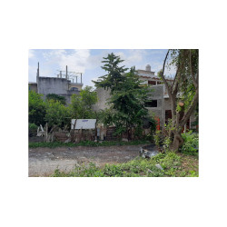 LOTE DE TERRENO EN COLONIA...