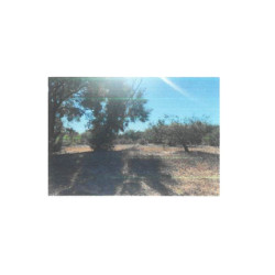 LOTE DE TERRENO CALLE 24 DE...