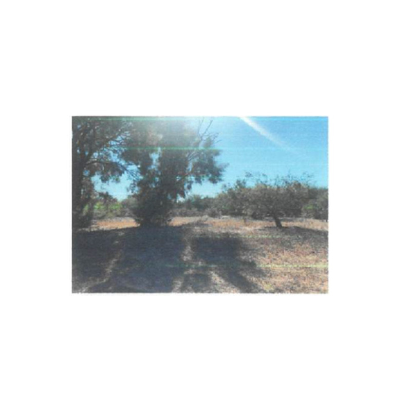 LOTE DE TERRENO CALLE 24 DE FEBRERO, CAJEME, SONORA
