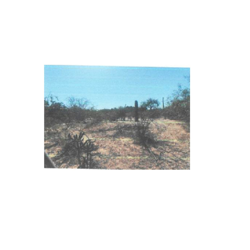 LOTE DE TERRENO CALLE 20 DE NOVIEMBRE, BERNABE ARANA,CAJEME, SONORA