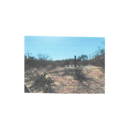 LOTE DE TERRENO CALLE 20 DE NOVIEMBRE, BERNABE ARANA,CAJEME, SONORA