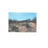 LOTE DE TERRENO CALLE 20 DE NOVIEMBRE, BERNABE ARANA,CAJEME, SONORA