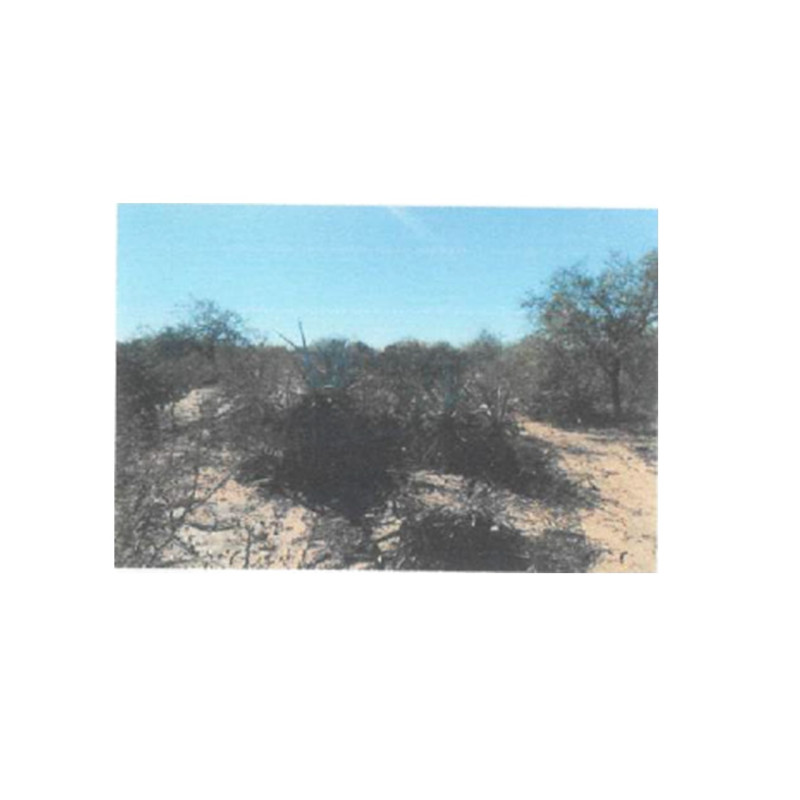 LOTE DE TERRENO URBANO EN CALLE FRANCISCO I. MADERO,BERNABE ARANA, CAJEME, SONORA