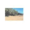 LOTE DE TERRENO URBANO EN CALLE FRANCISCO I. MADERO,BERNABE ARANA, CAJEME, SONORA