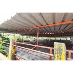 CASA CARRETERA HUETAMO-ZITACUARO, CUTZEO, HUETAMO, MICH.