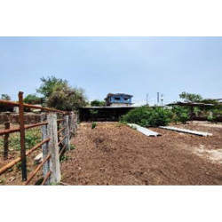 CASA CARRETERA HUETAMO-ZITACUARO, CUTZEO, HUETAMO, MICH.