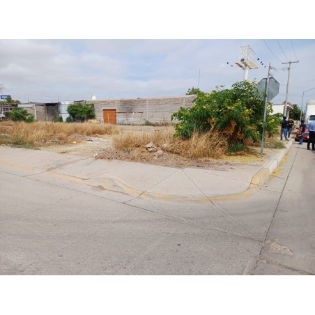 LOTE DE TERRENO EN AV. VICENTE GUERRERO ESQ. CALLE MACARIO GAXIOLA, COL. JUAREZ, SALVADOR ALVARADO, SIN.