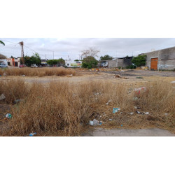 LOTE DE TERRENO EN AV. VICENTE GUERRERO ESQ. CALLE MACARIO GAXIOLA, COL. JUAREZ, SALVADOR ALVARADO, SIN.