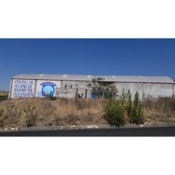 BODEGA CONSTRUIDA SOBRE EL PREDIO DENOMINADO "LAS CRUCES", COHUECAN IZUCAR DE MATAMOROS, PUEBLA